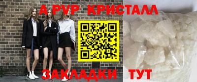 стаф Бердск
