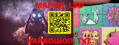 стаф Бердск