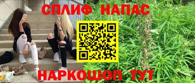 a pvp Белореченск