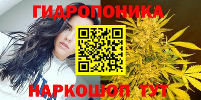 стаф Бердск
